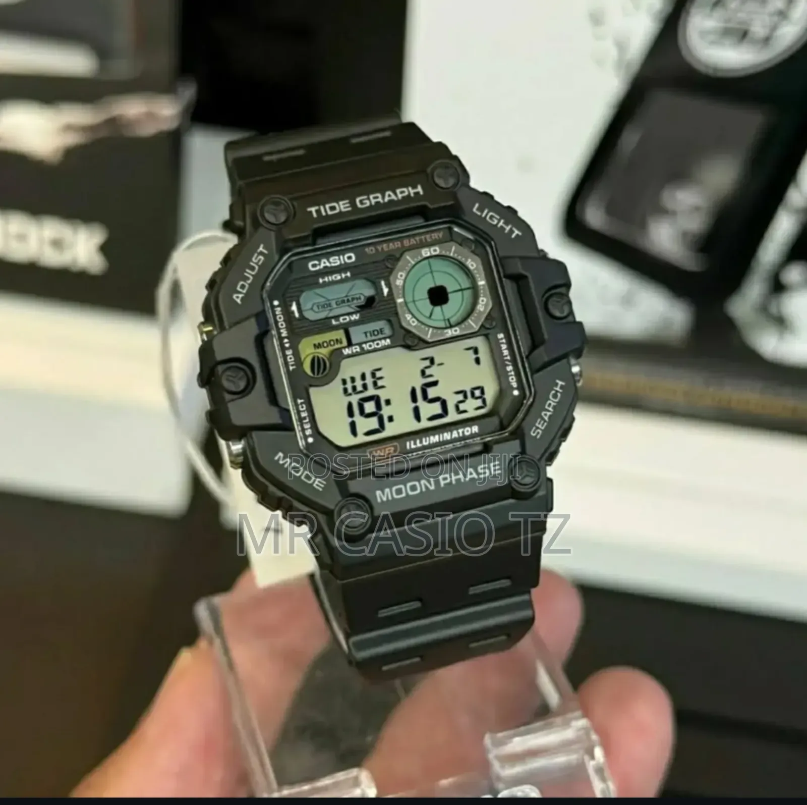 Casio Ws-1700h-8avdf
