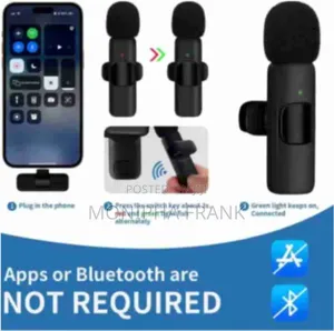 Dual Microphone