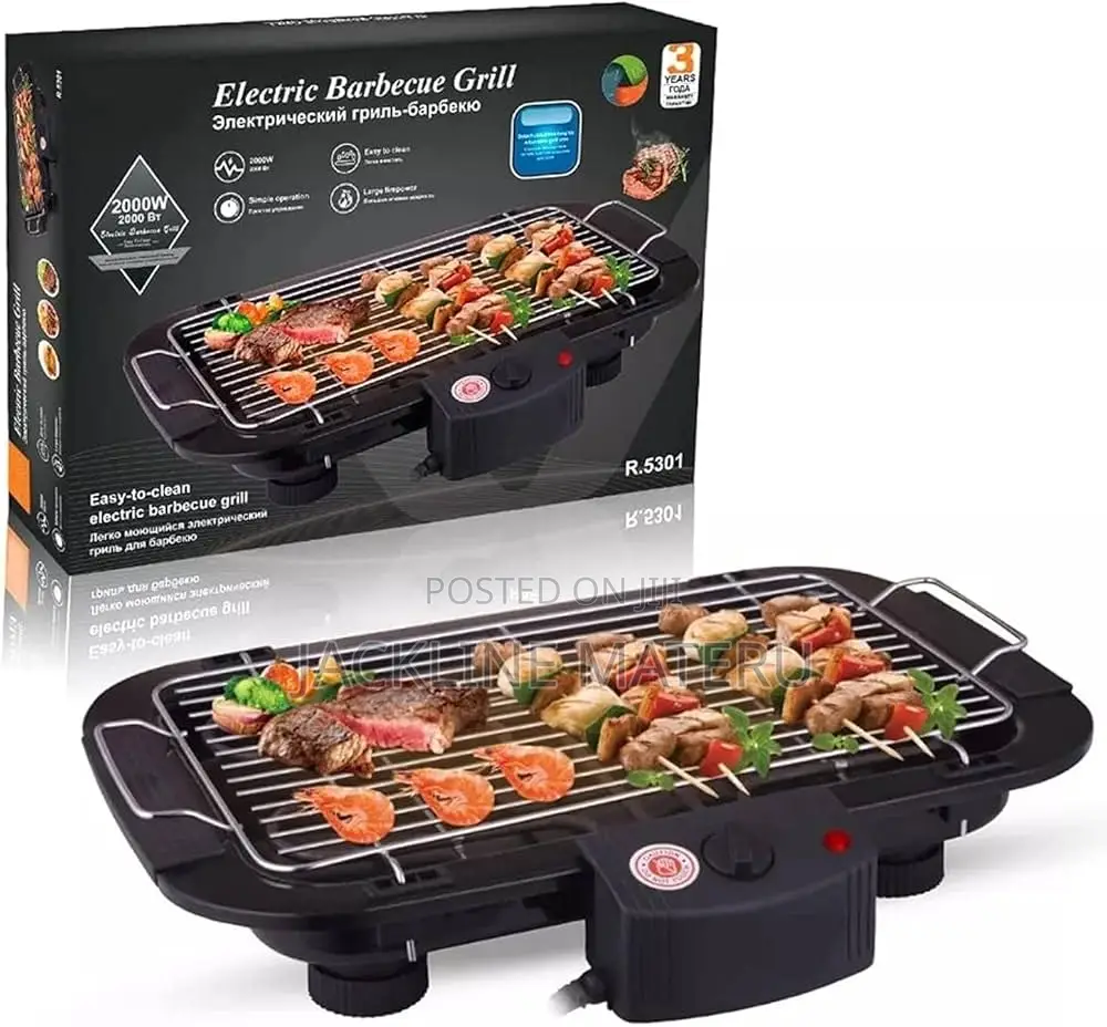 Electric BBQ Grill