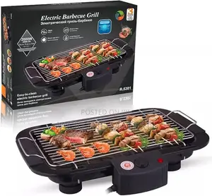 Electric BBQ Grill