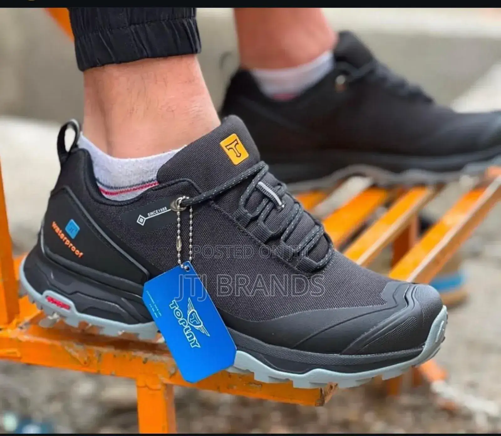 Eden Best Sneaker