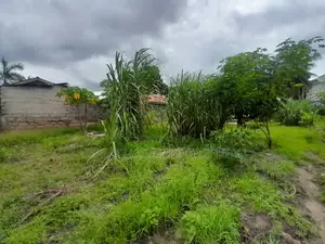 Plot for Sale Kigamboni Kisiwani