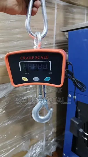 Digital Scale Crane 500kg