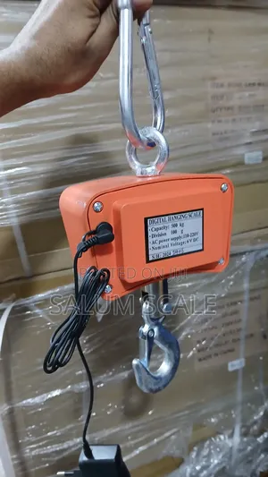 Digital Scale Crane 500kg