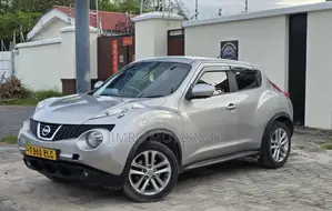 Nissan Juke 2011 Silver