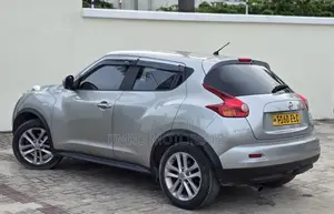 Nissan Juke 2011 Silver