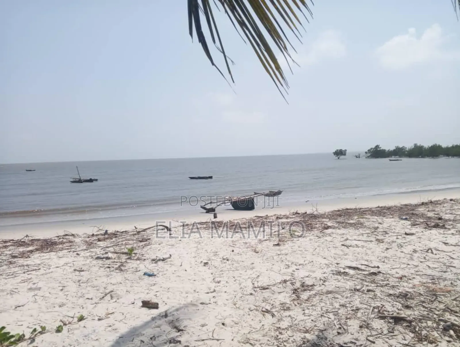 Beach Plot for Sale in Dar Es Salaam Mikocheni