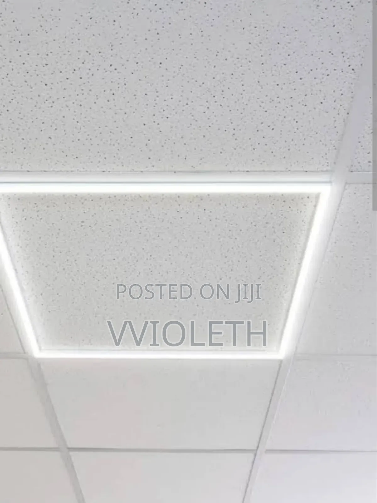 Suspended Ceiling