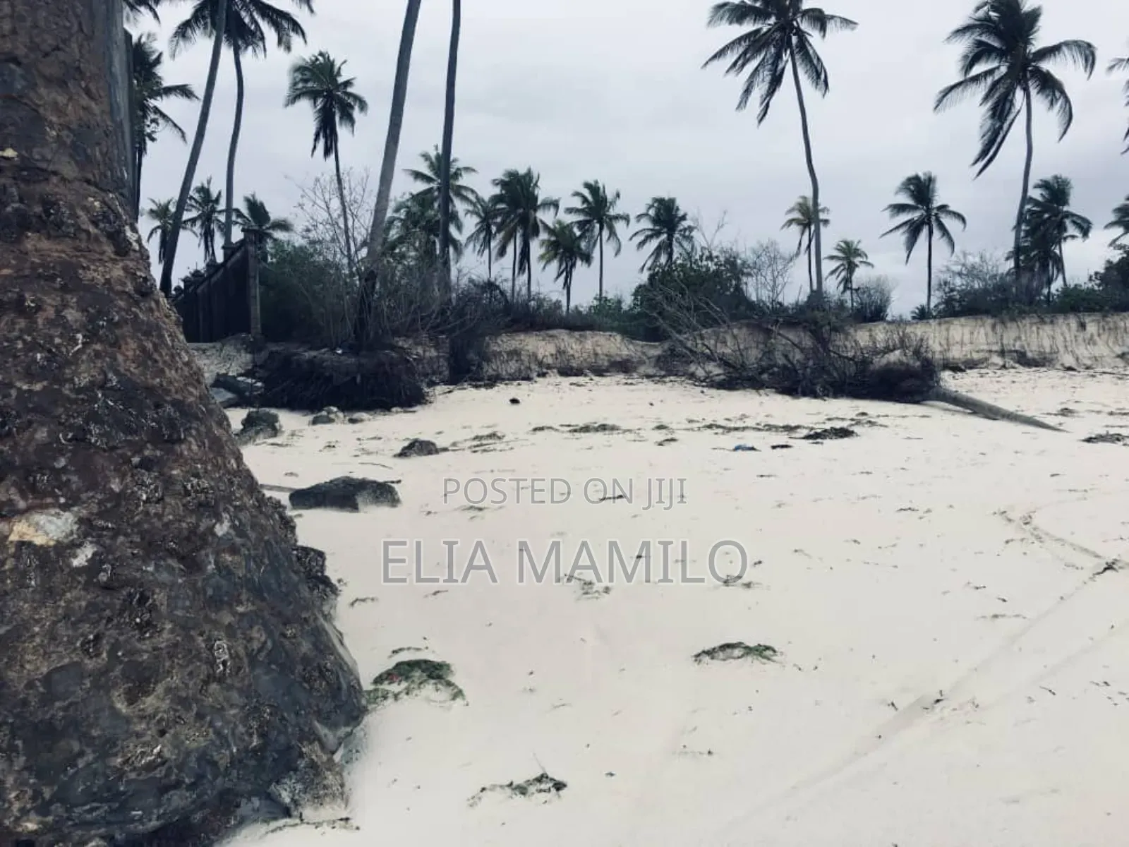Beach Plot for Sale in Zanzibar, Dongwe Bwejuu
