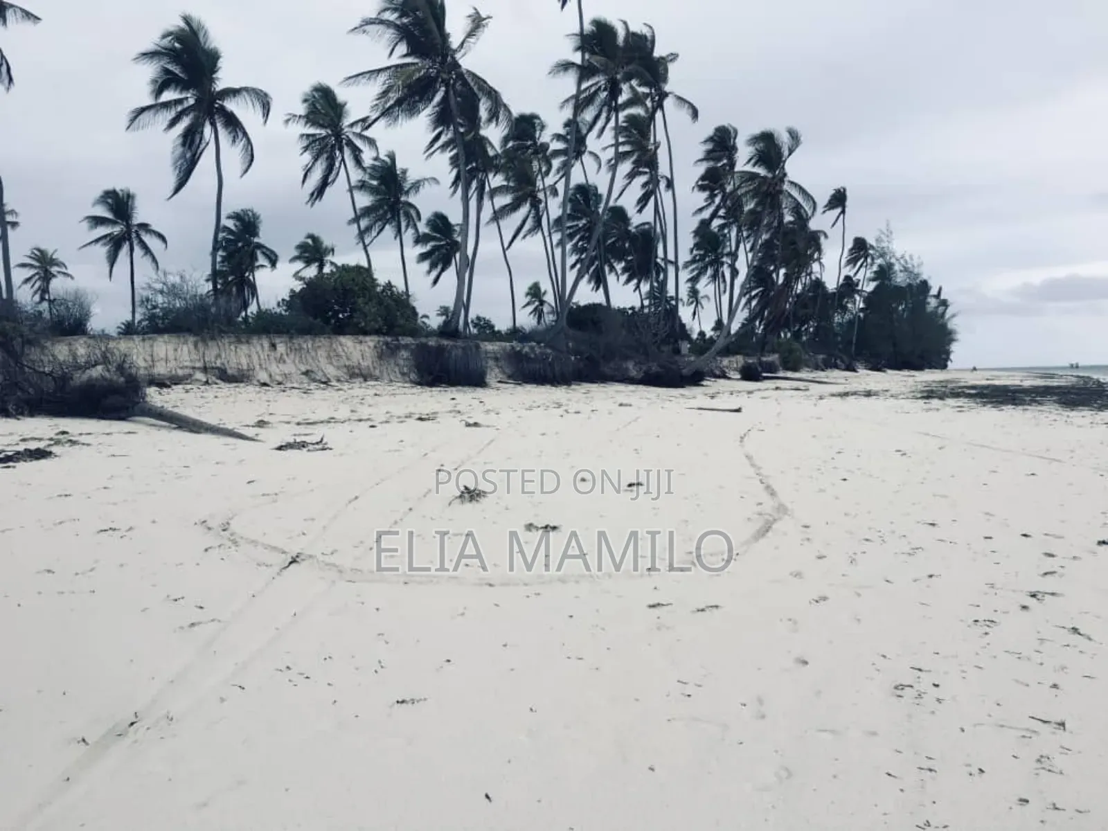 Beach Plot for Sale in Zanzibar, Dongwe Bwejuu