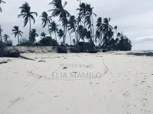 Beach Plot for Sale in Zanzibar, Dongwe Bwejuu