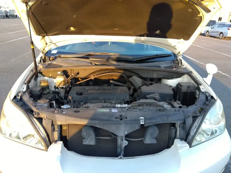 Toyota Harrier 2010 Pearl