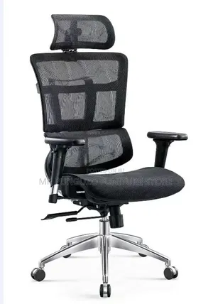 Ergonomic Office Chair