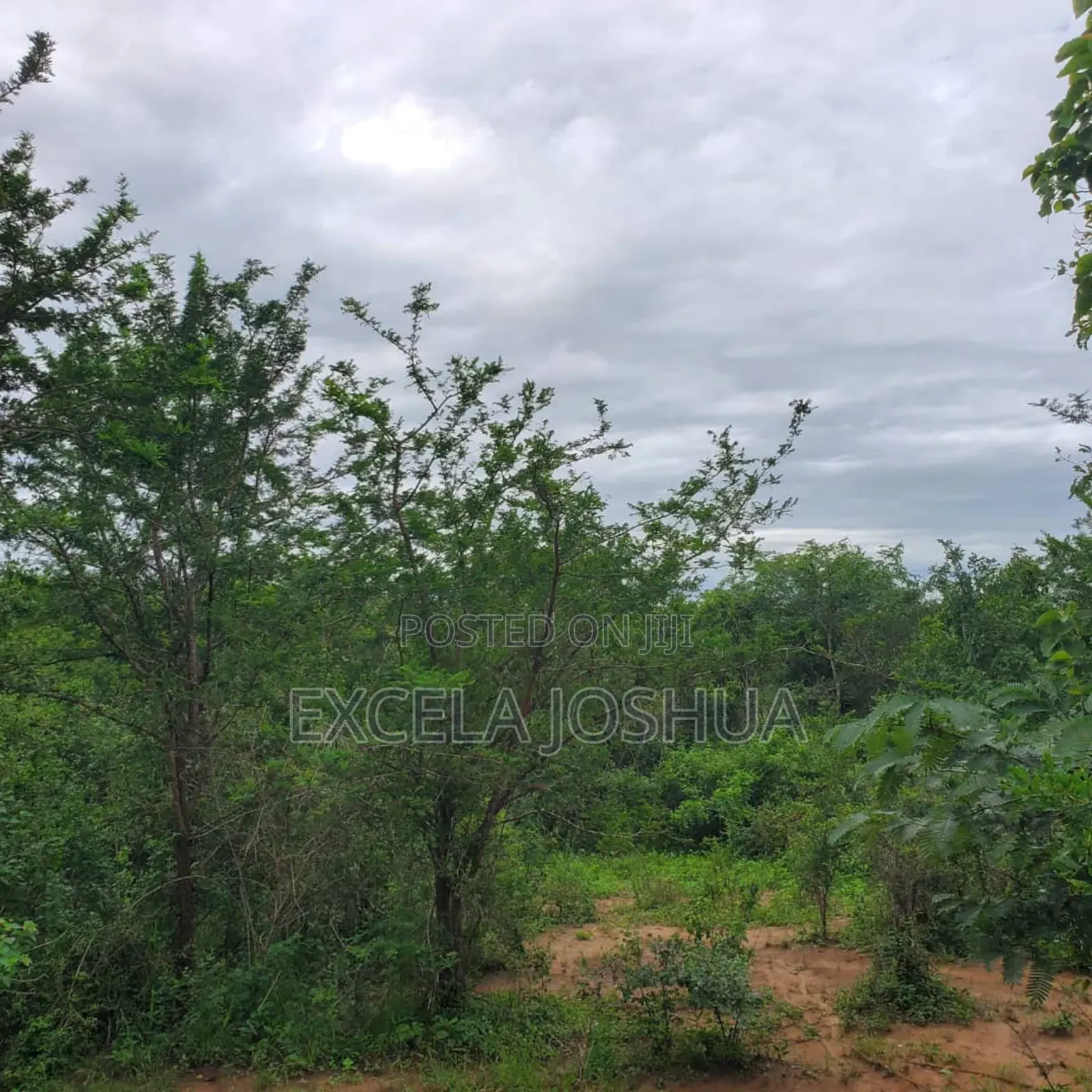 Shamba Ekar 100 Linauzwa Kijiji Cha Mkange, Miono Bagamoyo