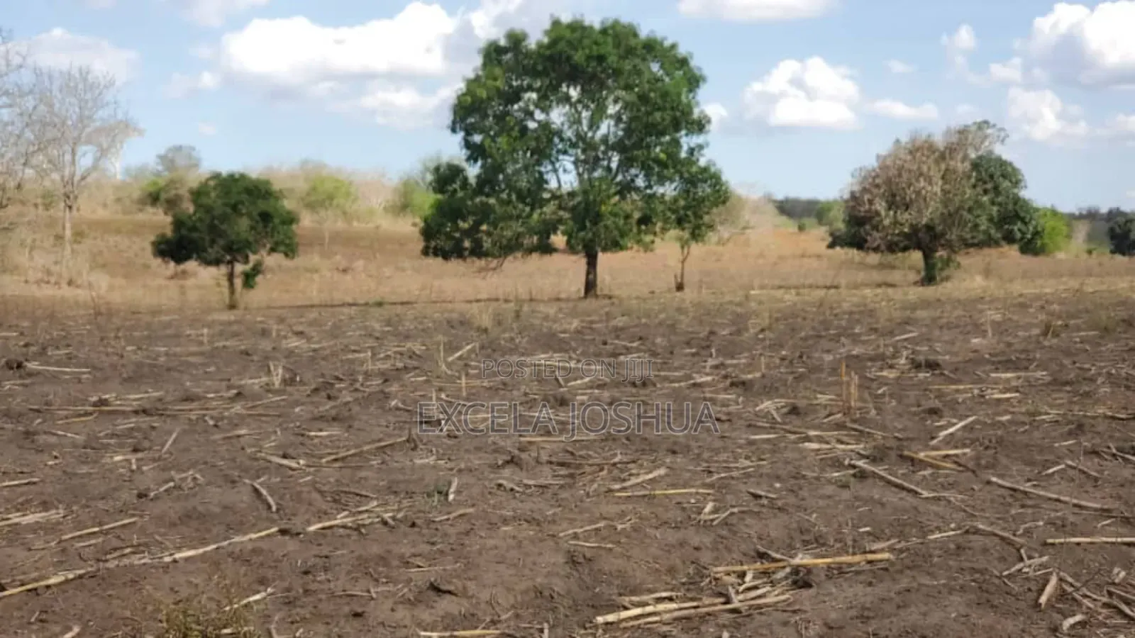 Shamba Ekari 100 Limegusa Main Road Linauzwa Mbwewe Bagamoyo