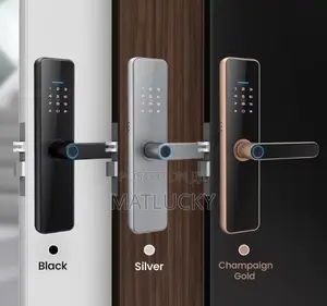 C91 Smart Door Locks