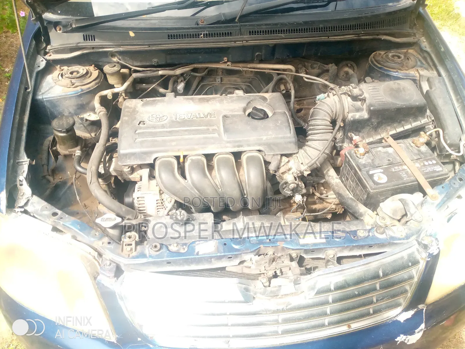 Toyota Corolla 2005 Blue