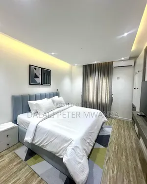 Furnished 2bdrm Apartment in Airport Road, Ilemela for rent