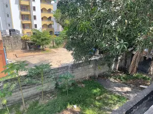 Plot for Investing in Mikocheni.