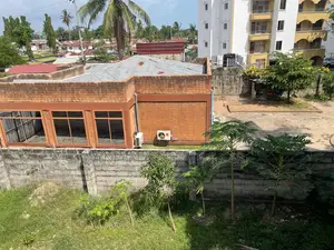 Plot for Investing in Mikocheni.