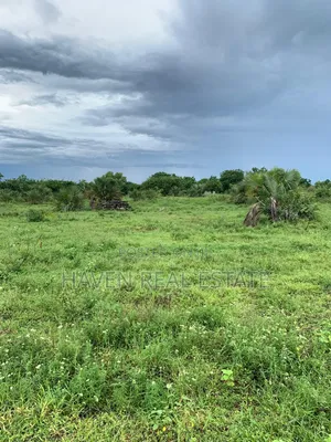4 Acres Zinauzwa Mbweni Kiembeni