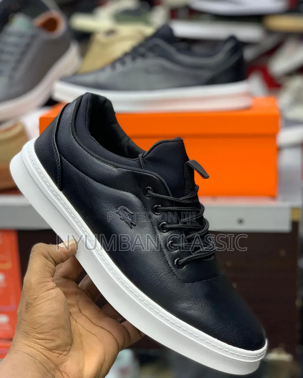 Gentleman Lacoste Shoes