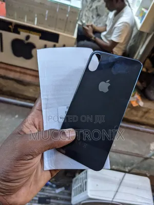 iPhone X Backglass