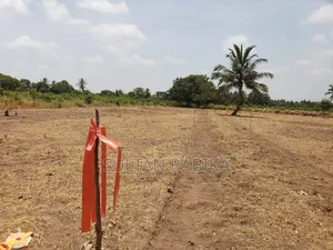 Photo - Ofa Viwanja Vinauzwa Chanika Mvuti Milioni 1,300,000