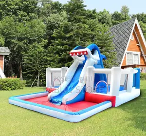Jumping Castle Dolphin