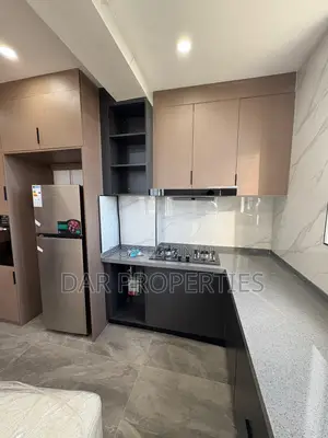 Furnished 1bdrm Apartment in Oysterbay for rent