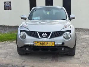 Nissan Juke 2011 Silver