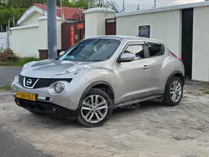 Nissan Juke 2011 Silver