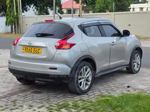 Nissan Juke 2011 Silver