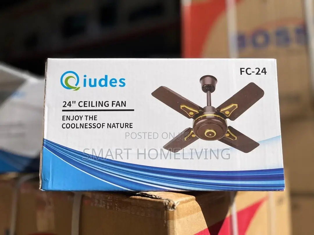 Qiudes Ceiling Fan Size 24”