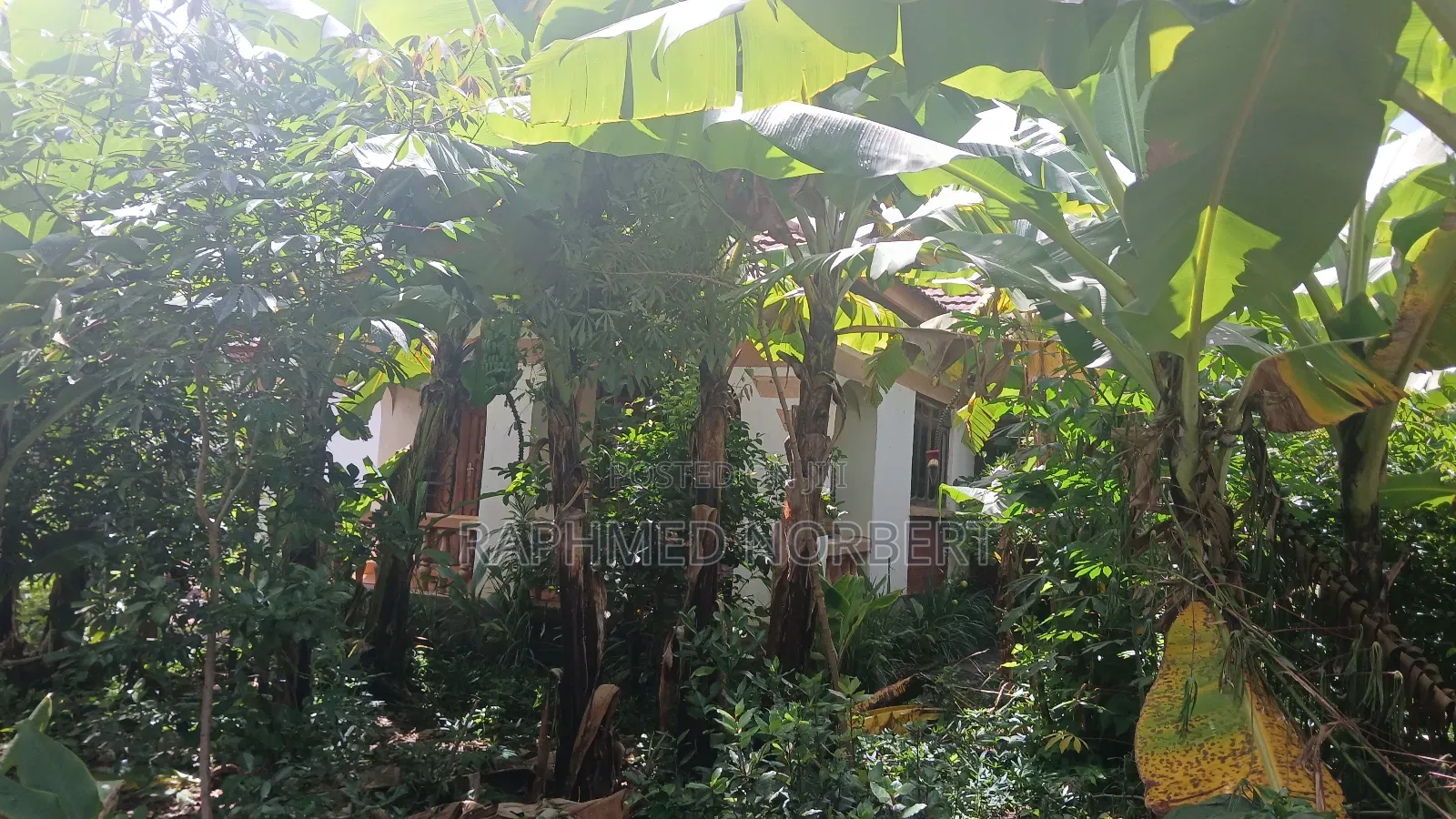 3bdrm House in Tanzania Realestates, Arusha for sale