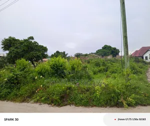 Kiwanja Sqmita 500 Kinauzwa Milioni 12.5 Ukonga Bombambili.