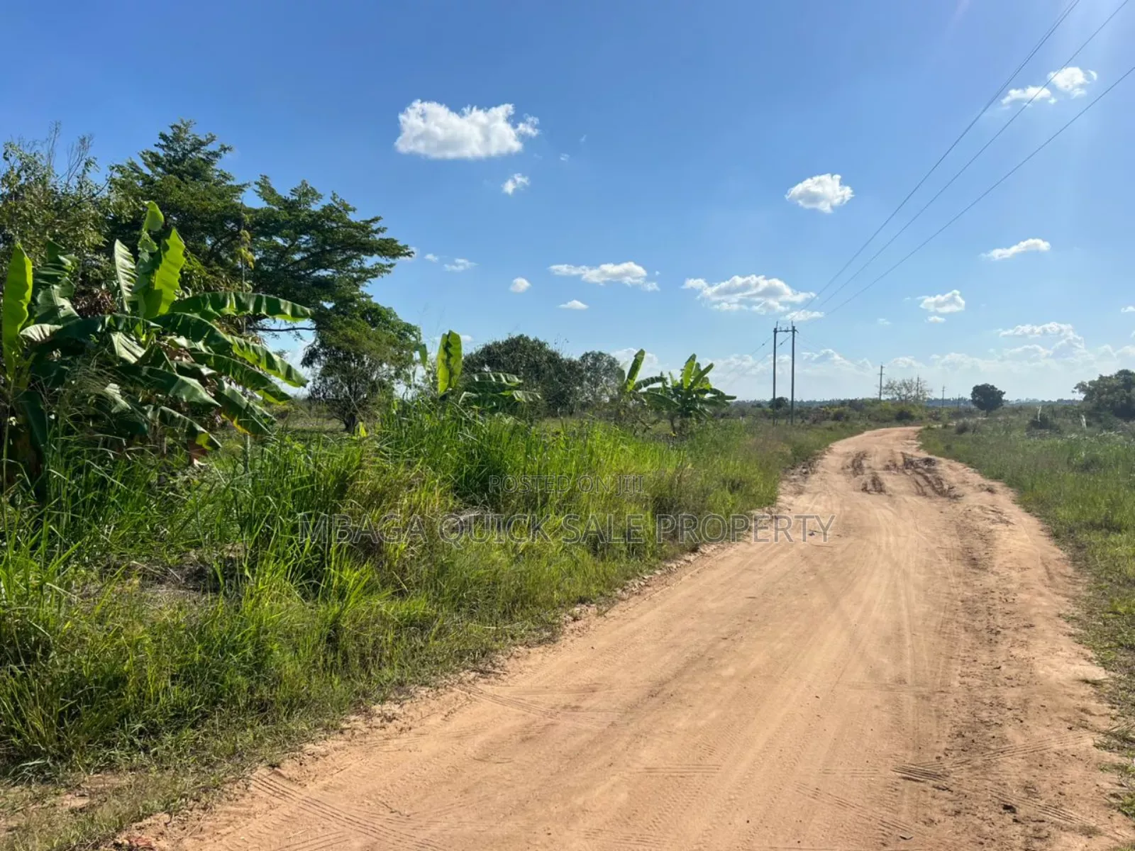 10 Acres Farm for Sale at Mkuranga TSH 270,000,000