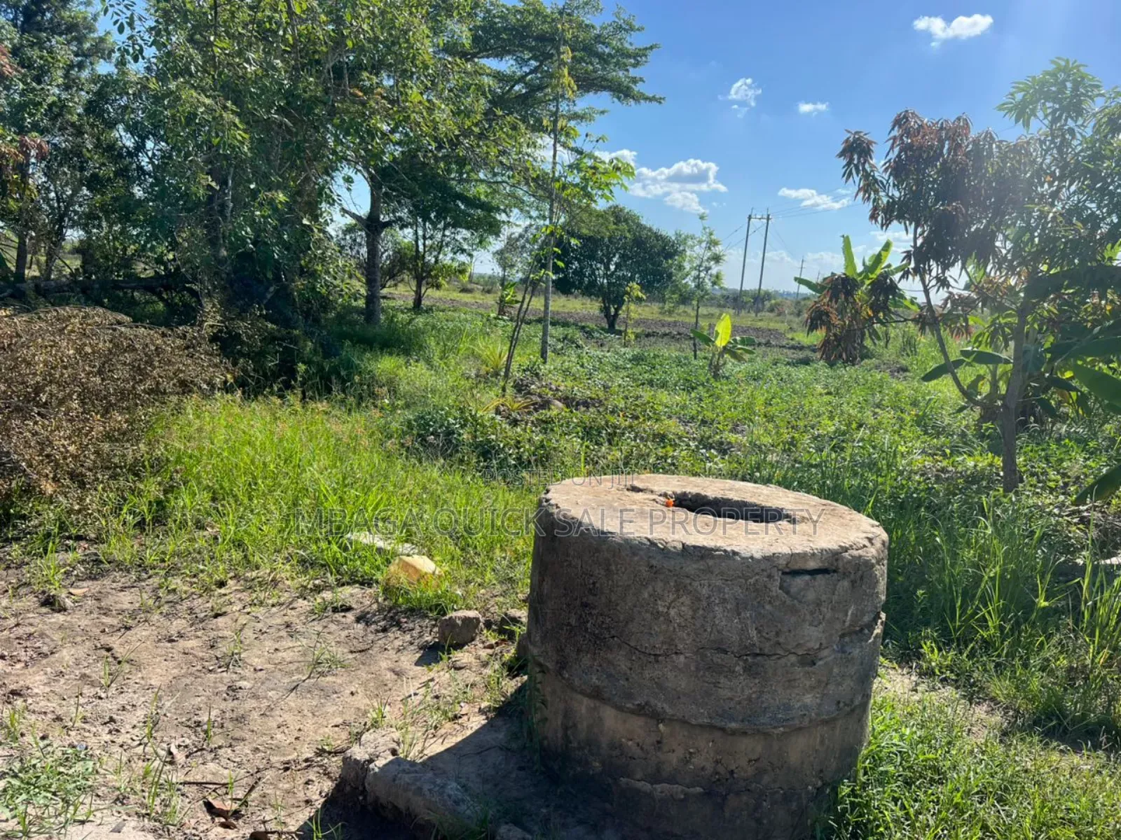 10 Acres Farm for Sale at Mkuranga TSH 270,000,000