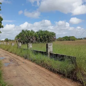 Commercial Plot for Sale in Kigamboni Cheka