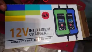 Original Car/Solar Battery Charger 6a.In 220v Out 12v 6a
