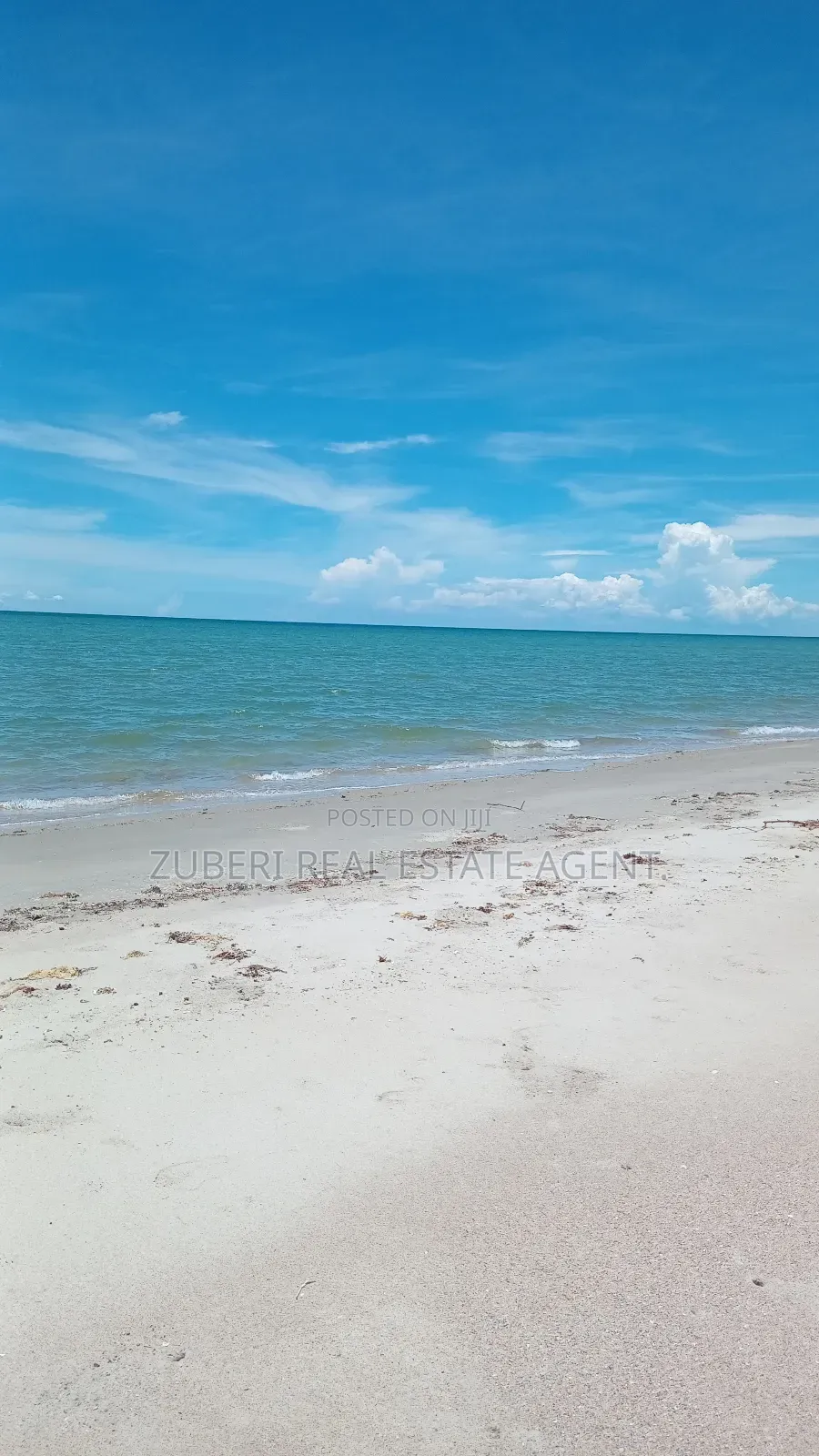 Mafui Near Saadani Park Beach Plot on Sale.