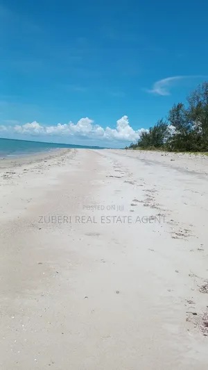Mafui Near Saadani Park Beach Plot on Sale.