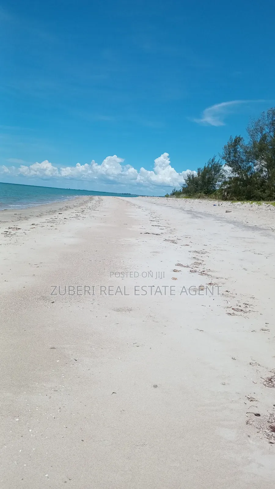 Mafui Near Saadani Park Beach Plot on Sale.