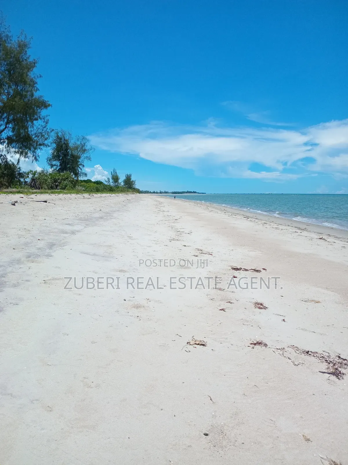 Mafui Near Saadani Park Beach Plot on Sale.