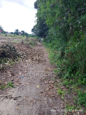 Kiwanja Sqmita 225 Kinauzwa Milion 6.5 Majohe Rada