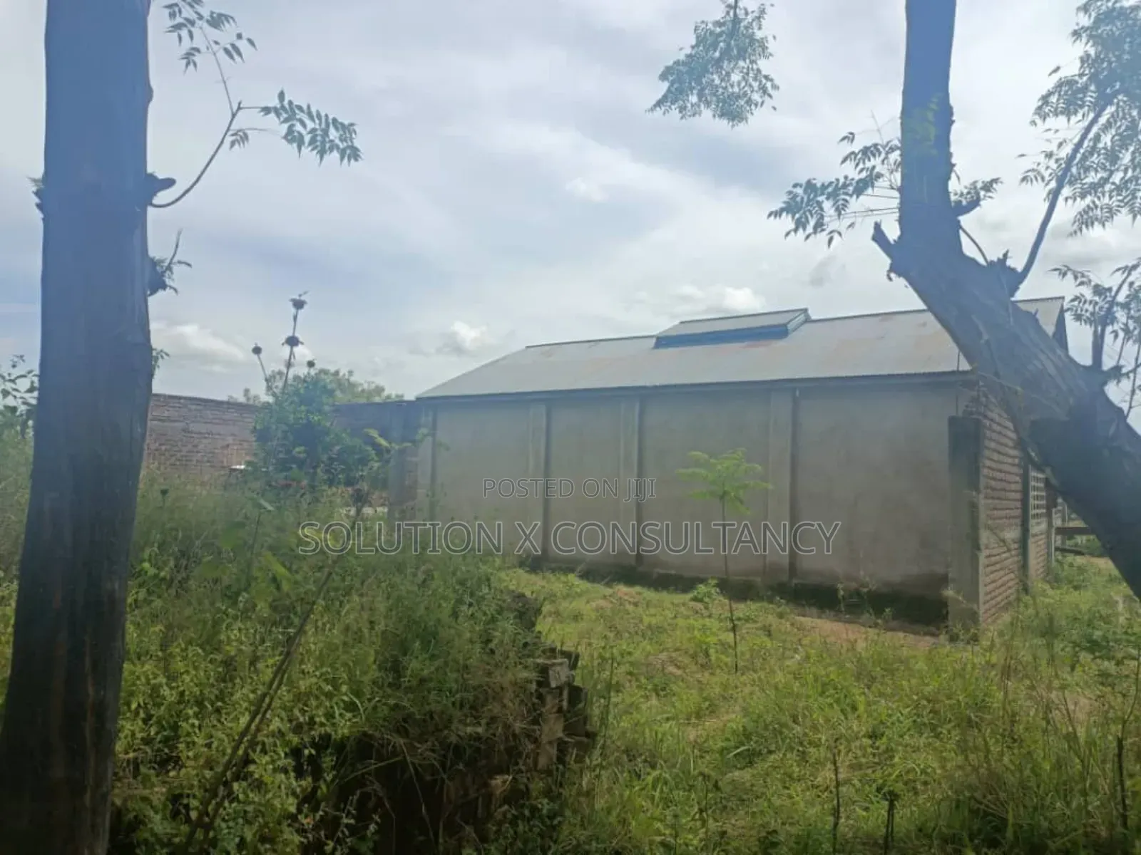 Factory and Warehouse for Sale at Misungwi Mwanza