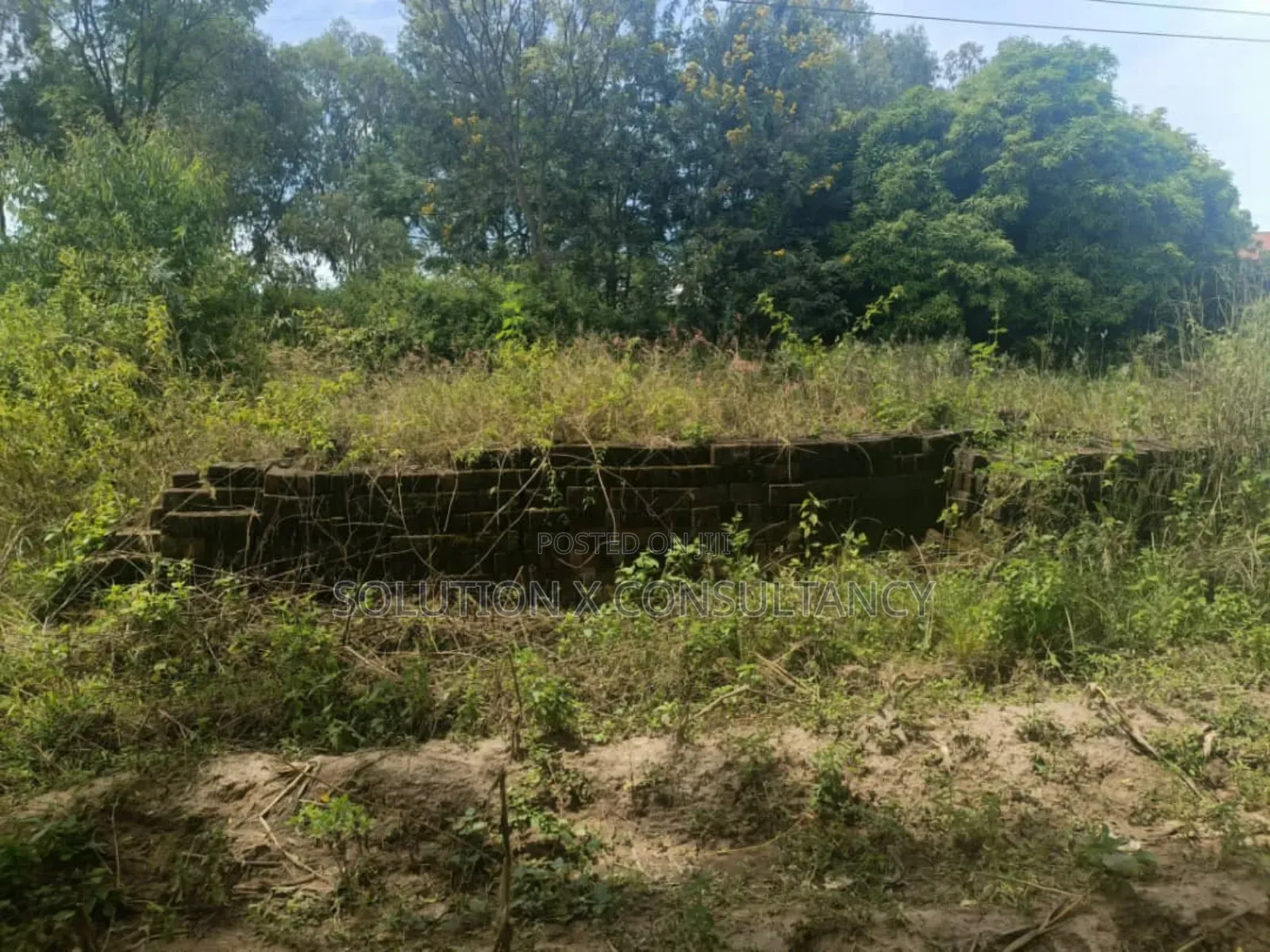 Factory and Warehouse for Sale at Misungwi Mwanza