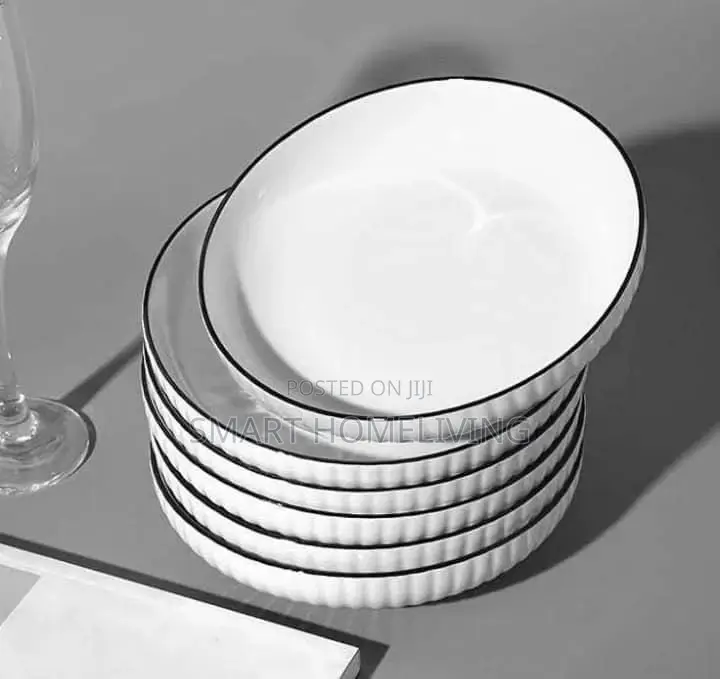 6pcs Dinner Plates