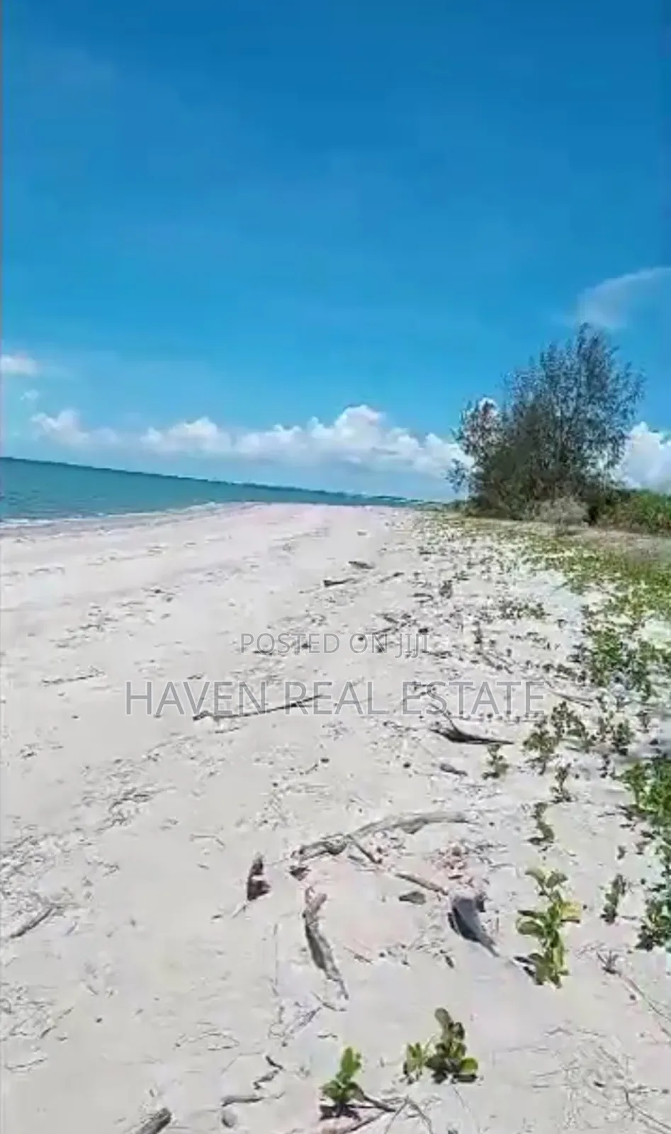15 Acres Beach Plot Zinauzwa Pangani Tanga