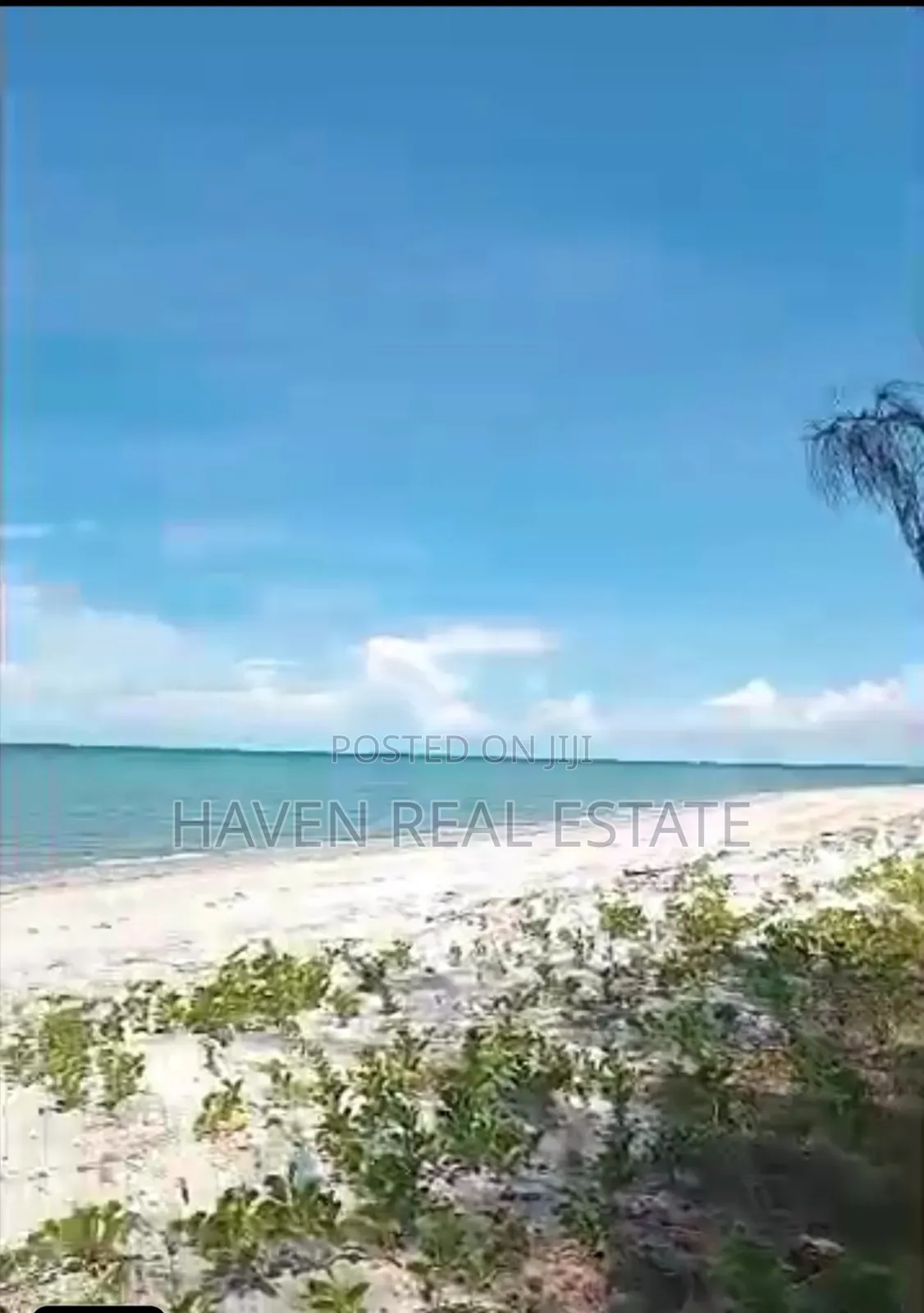 15 Acres Beach Plot Zinauzwa Pangani Tanga